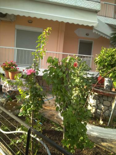 Apartamento Vila Manthos
