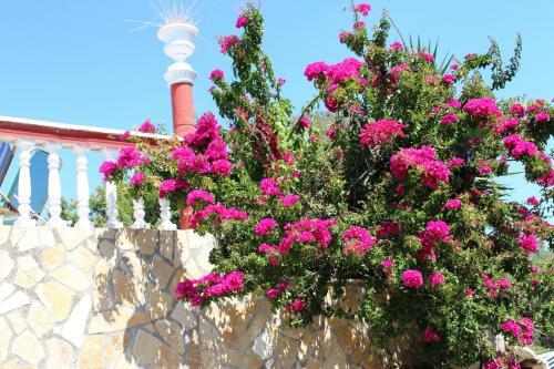 Apartamento Villa Pangalis Romantica