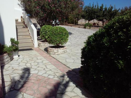 Apartamentos Cerigo House