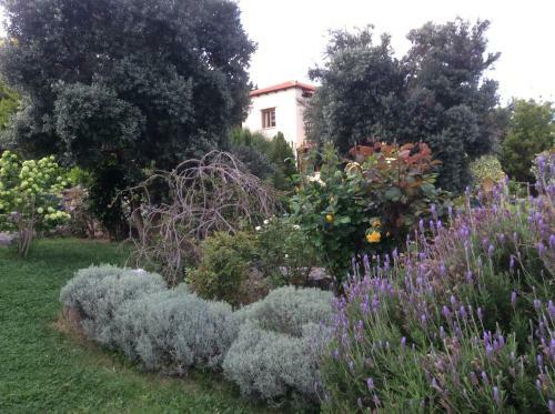 Crete Family Villas