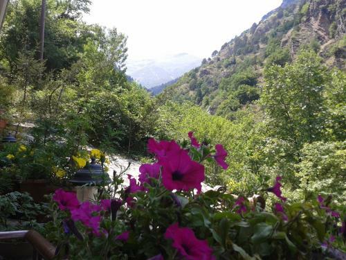 Hostal Archontiko Velousi