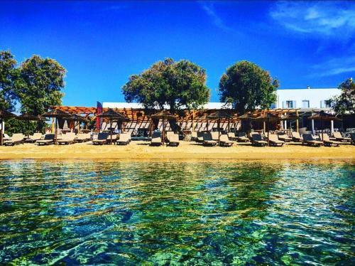 Cactus Beach Paros