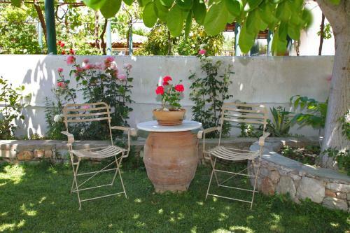 Apartamento Irene