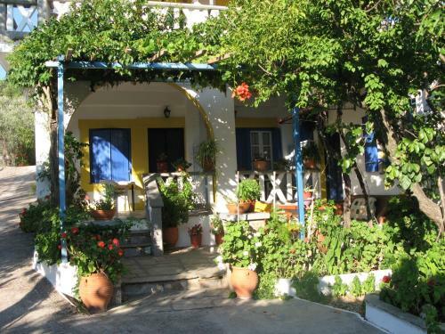 Apartamento Alexandra Sofia