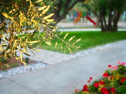 Apartamento Lena Mare