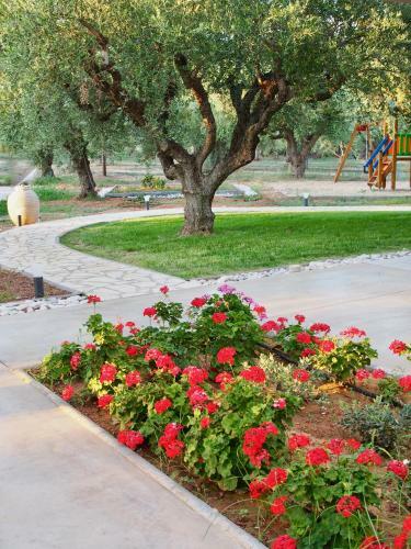 Apartamento Lena Mare