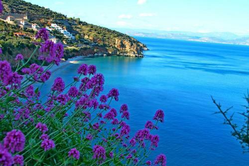 Apartamento Blue Sky Studios