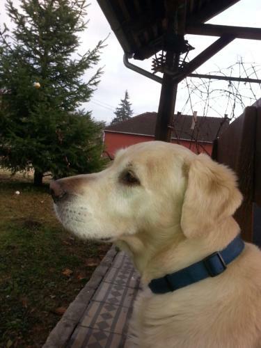 Hostal Apartmani Baranjski Dvori