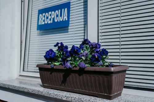 Hostal Guest House Sv. Nikola