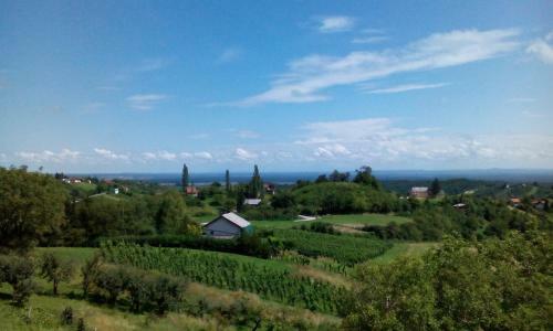Bed & Breakfast Guesthouse Re?ekov Podrum