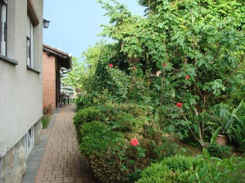 Hostal Guest House Kapetanova Ku?a