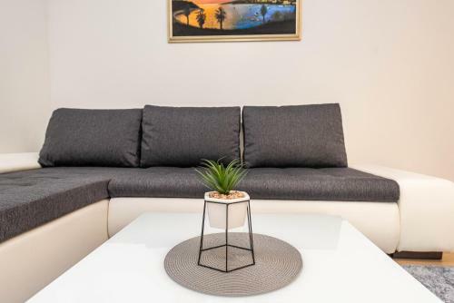 Apartamento Star 4. Modern & Centrally Located Ap. For 6