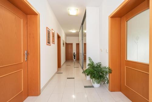 Centrally Located Apartment For 16