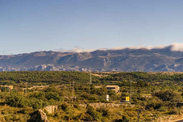 Hotel Olea