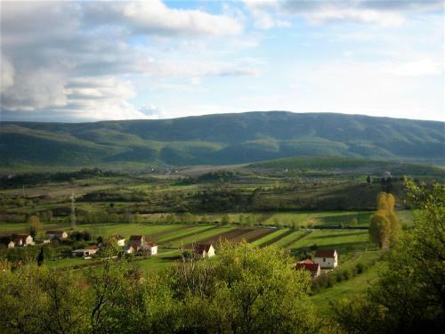 Apartment Sucic
