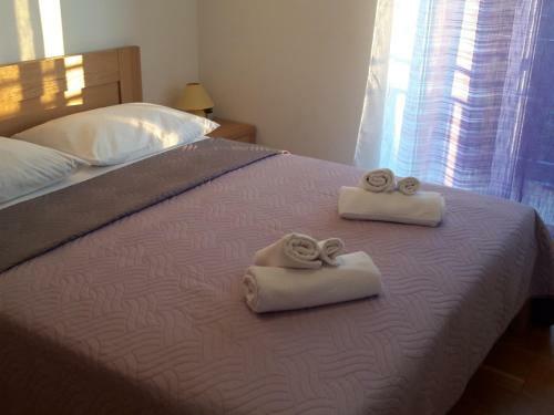 Apartment Sucic