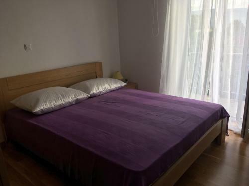 Apartment Sucic