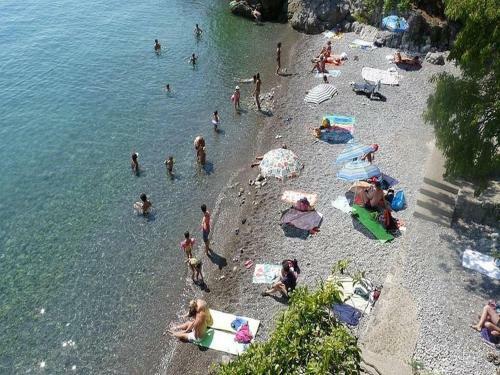 Apartments In Opatija 35756