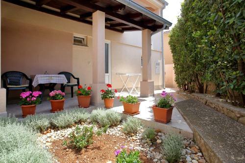 Apartments Venera