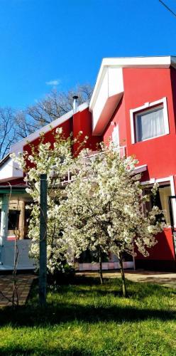Apartamento Nyugalom Szigete