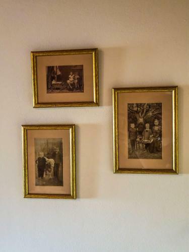 Apartamento Tulip�nos Vend�gh�z