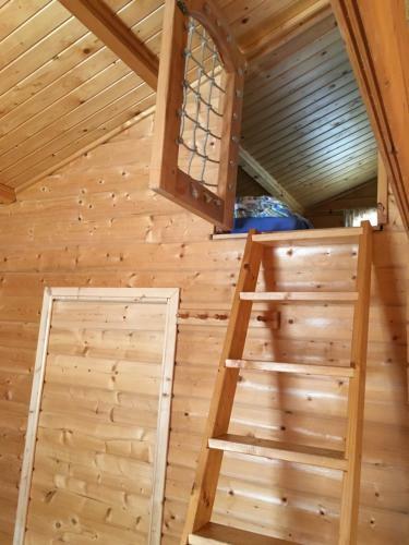 Apartamento Tulip�nos Vend�gh�z