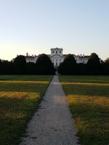Hostal Fert?di K�ria Vend�gh�z