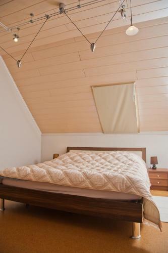 Alt Baden Apartement