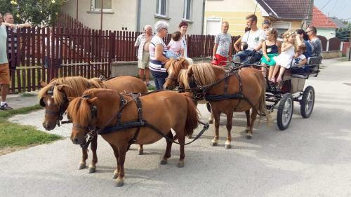 Hostal Nagybajcsi Lovaspark �s Vend�gh�z