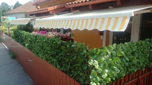 Apartamento K�ri Vend�gh�z