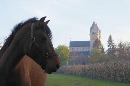 Hostal Vend�gh�z A K�t Toronyhoz