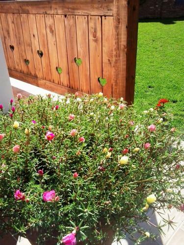 Hostal Levendula Porta �s Pajtasz�nh�z