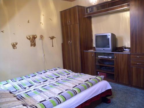 Apartment In Siofok/balaton 20015