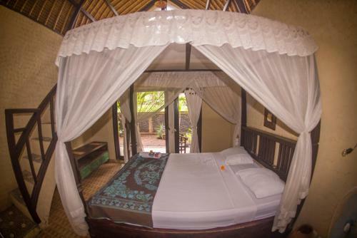 Pacha Hostel