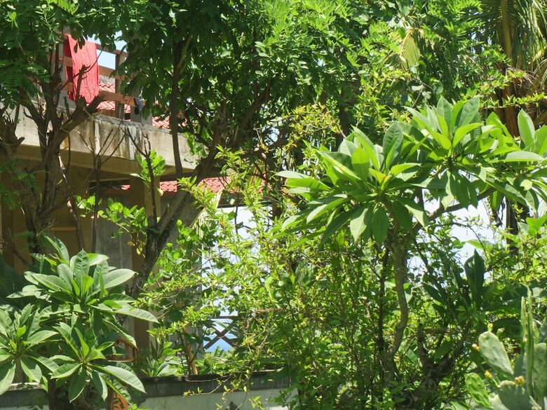 Hostal Amed Sari Beach Guesthouse