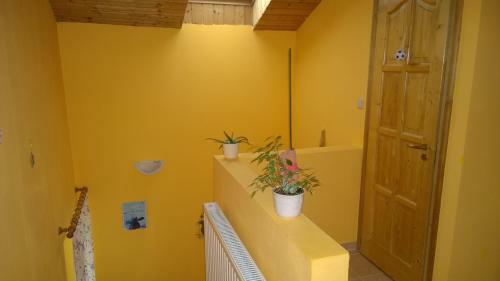 Apartamento O�zis Vend�gh�z