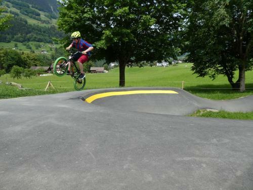 Chalet Hotel Krone