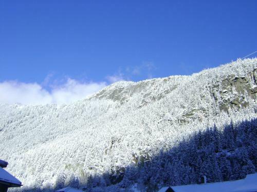 Hostal Hotel Gotthard