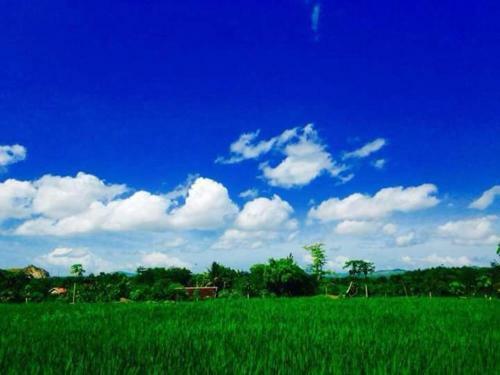 Pedek Homestay