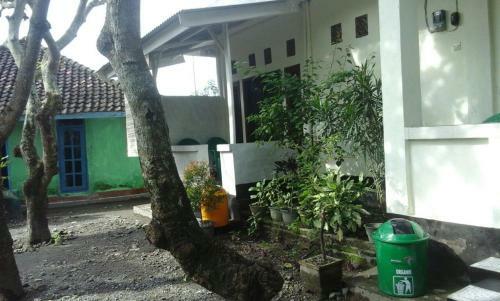 Pedek Homestay