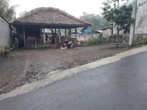 Lodge Ila Homestay