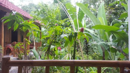 Tetebatu Indah Homestay