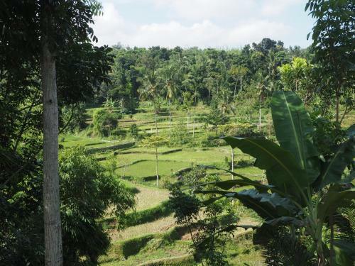 Tetebatu Indah Homestay