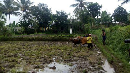 Tetebatu Indah Homestay