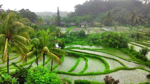 Hostal Puri Sawah Bungalows & Restaurant