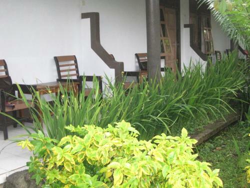 Hostal Pondok Tetebatu Cottages And Cafe