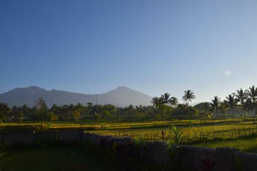 Hostal Pondok Tetebatu Cottages And Cafe