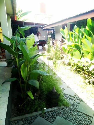 Albergue Dreamtime Sumbawa