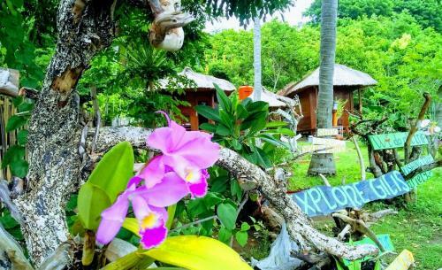 Posada Papaya Lodge