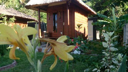 Posada Papaya Lodge